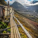 brown wooden pathway