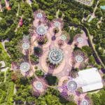 Super Groove Tree Gardens by the Bay