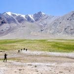 2 people walking on green grass field near gray mountain during daytime