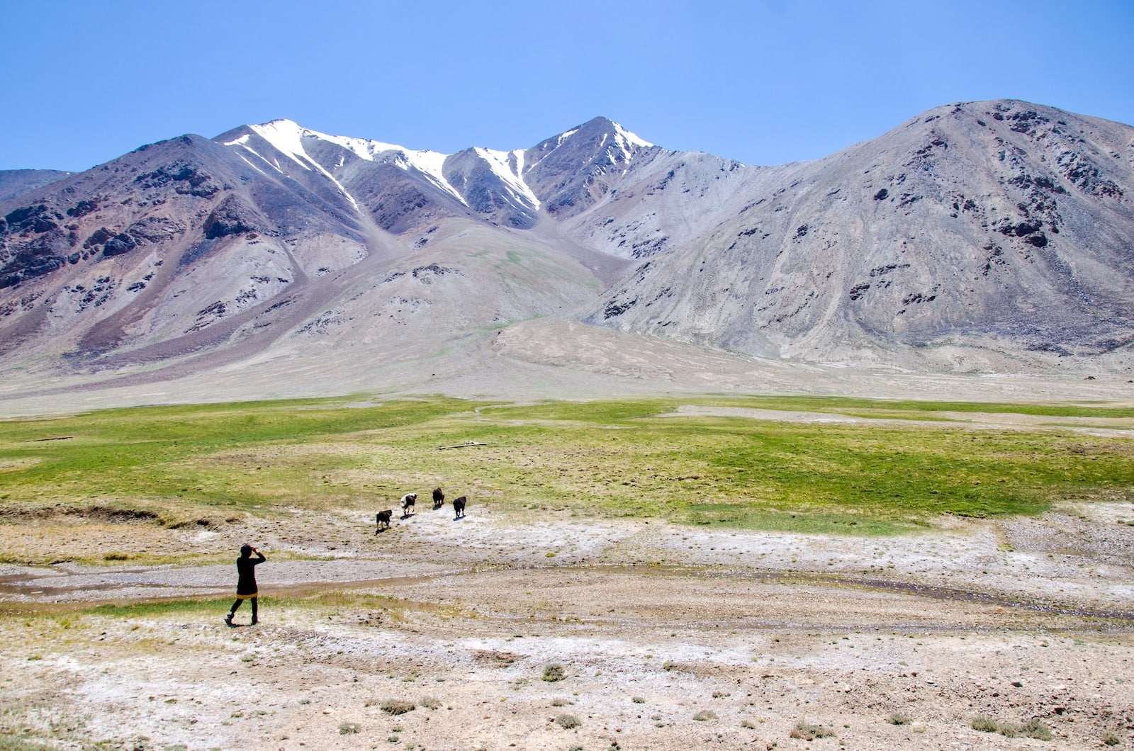 2 people walking on green grass field near gray mountain during daytime